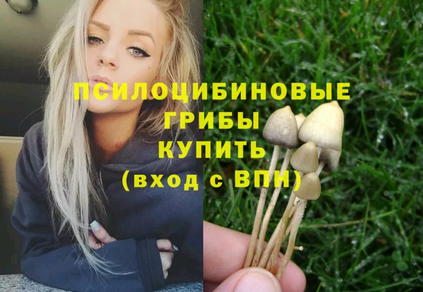 гидра Алексин