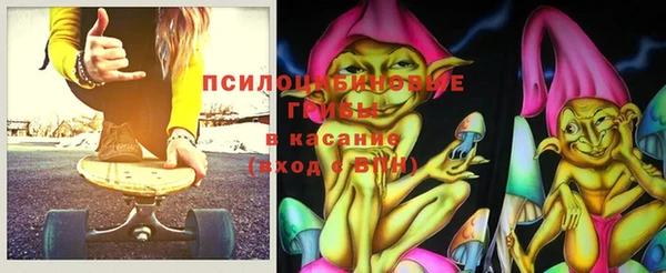 гидра Алексин