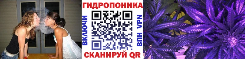 Канабис VHQ Красногорск